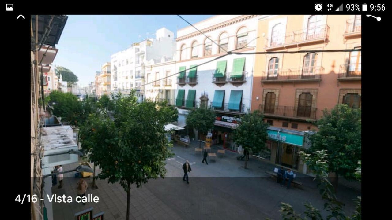 13 Calle San Jacinto Appartement